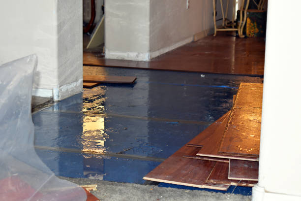 Professional Sewage Cleanup technician working in New Boston, MI