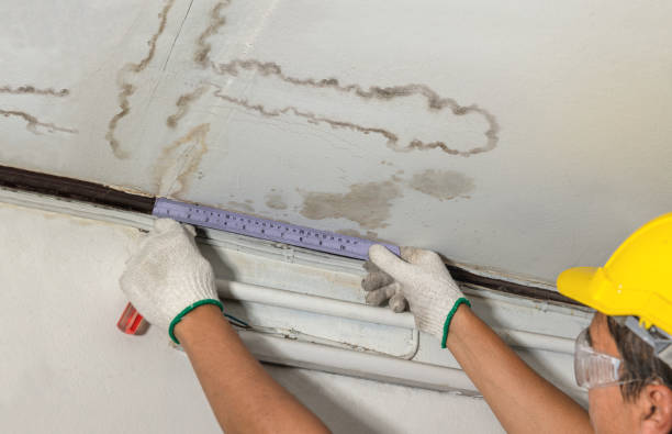 Reliable Sewage Cleanup contractor in New Boston, MI by Water Damage Irwin